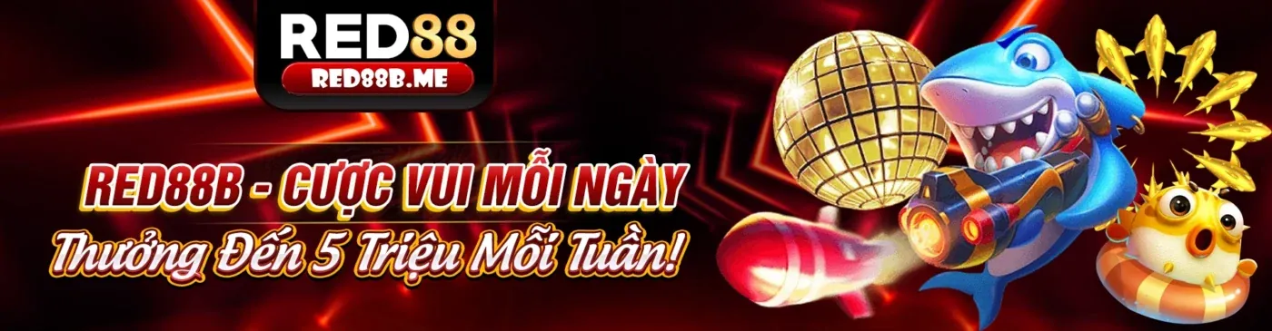 Hoàn Trả Hàng Tuần Cao Nhất